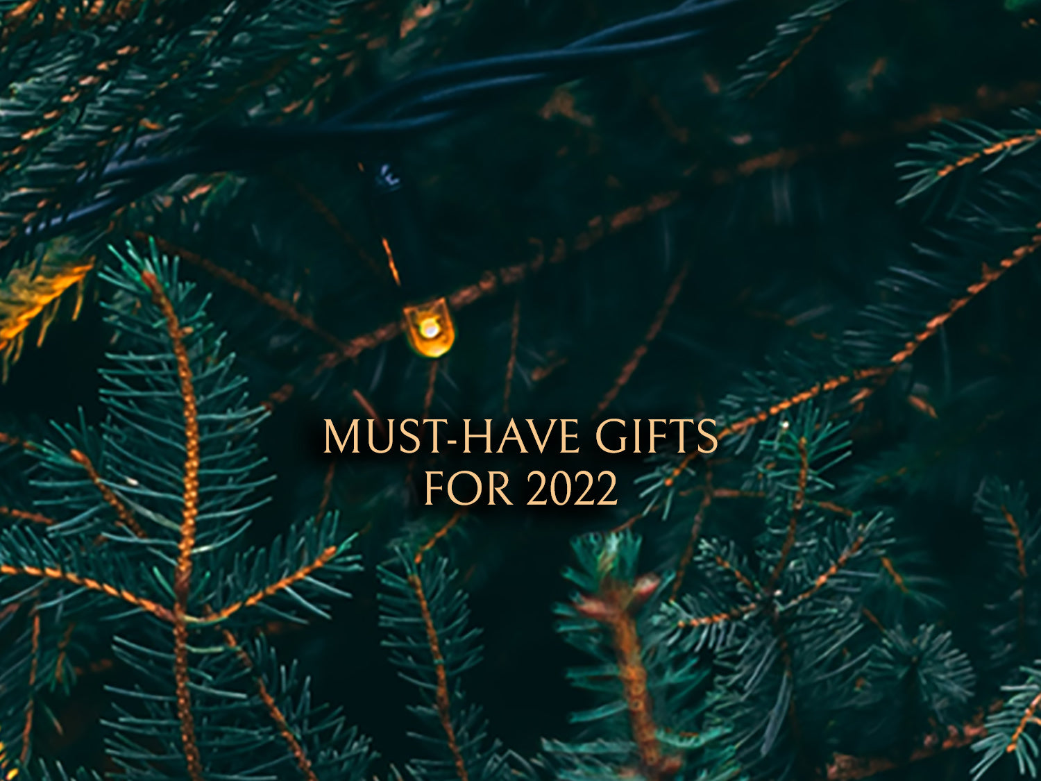 Boredwalk Must-Have Holiday Gift Guide For 2022