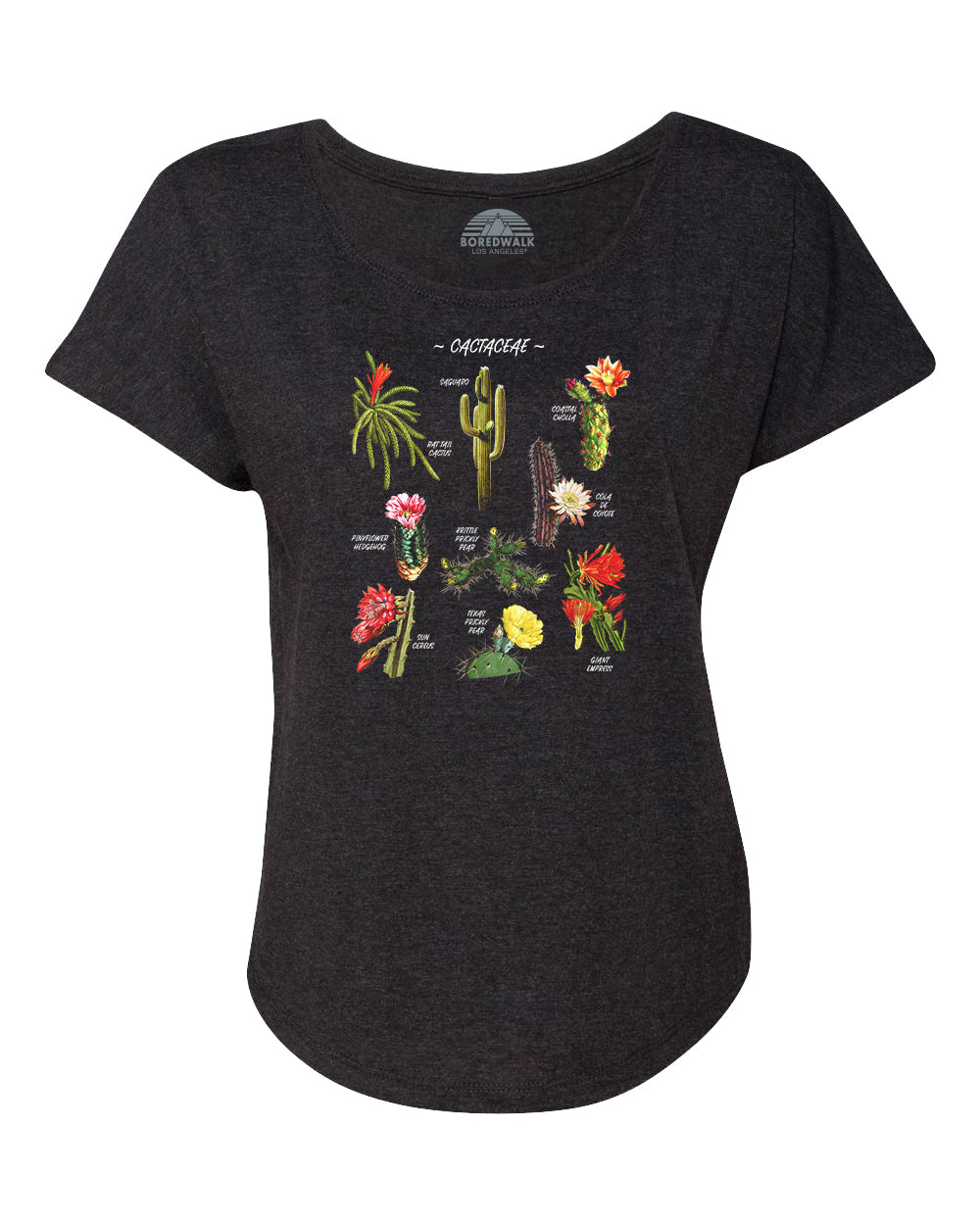 Women's Cactus Botanical Chart Scoop Neck T-Shirt