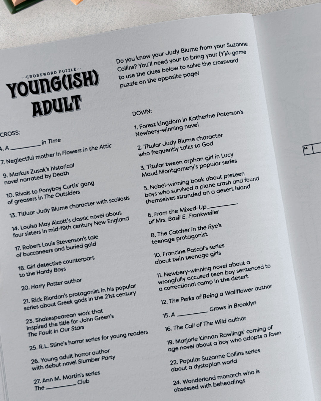 Once Upon a Time: A Literary Activity Book for Adults