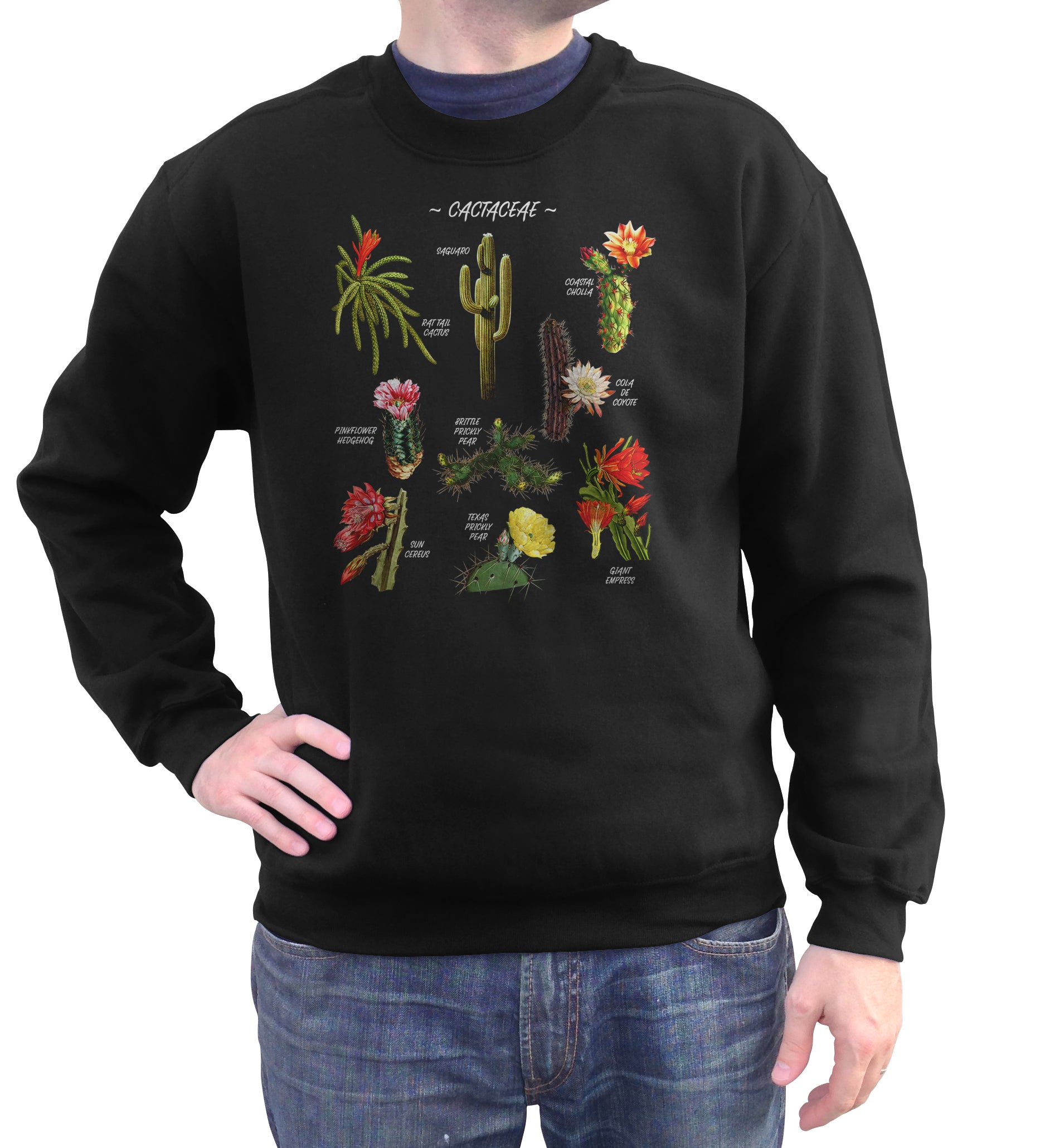 Unisex Cactus Botanical Chart Sweatshirt