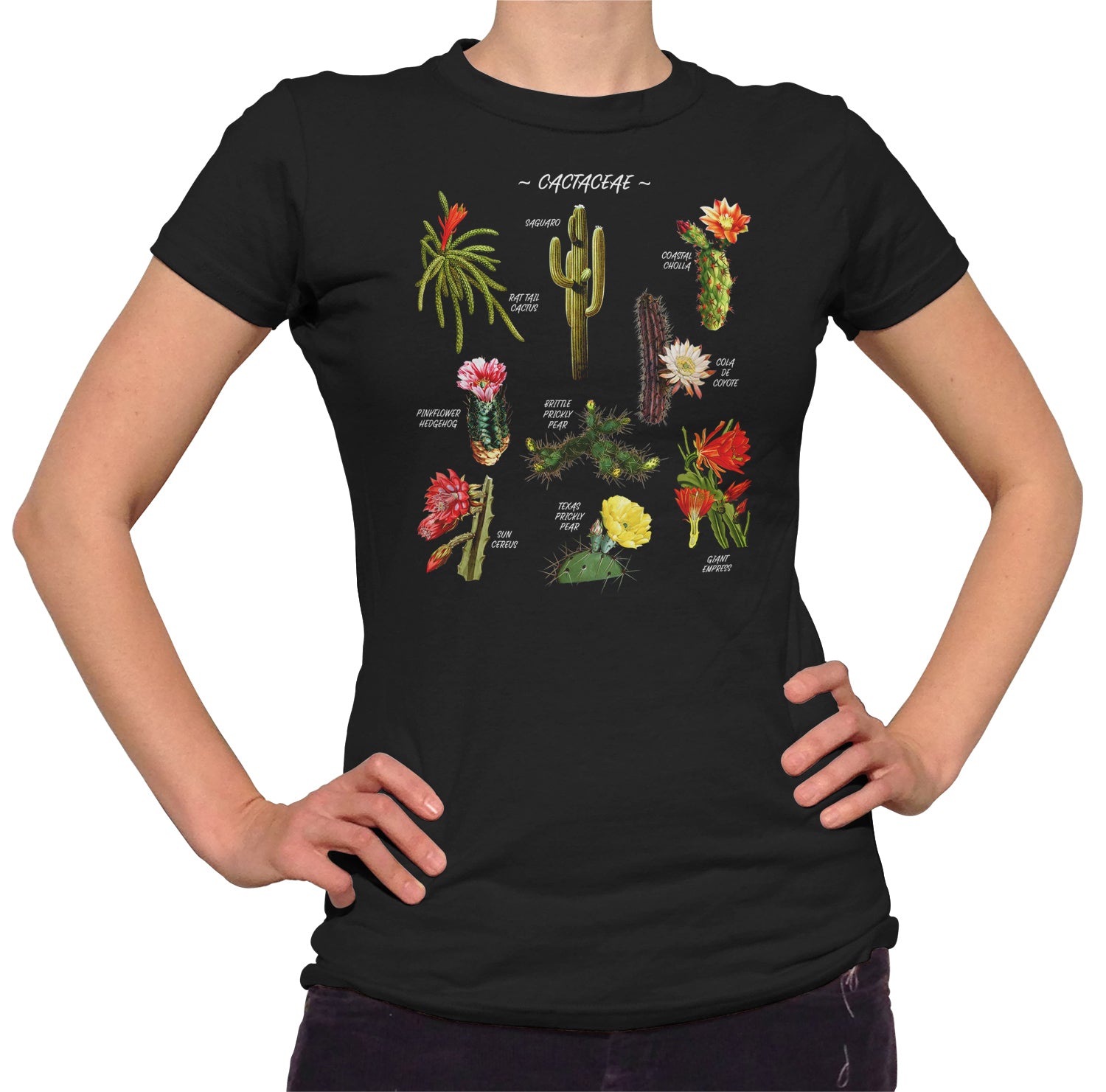 Women's Cactus Botanical Chart T-Shirt