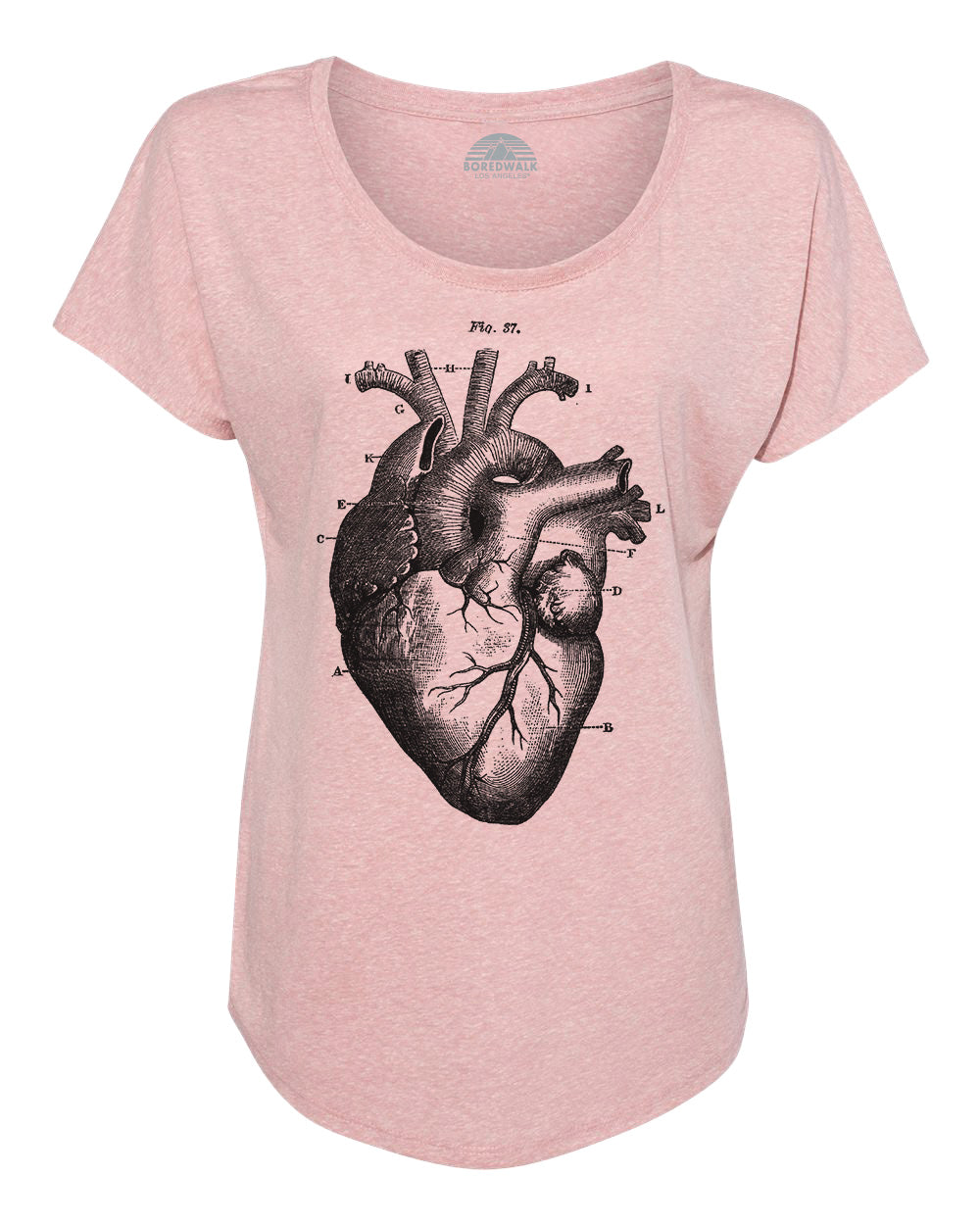 Women's Heart Anatomy Diagram Scoop Neck T-Shirt