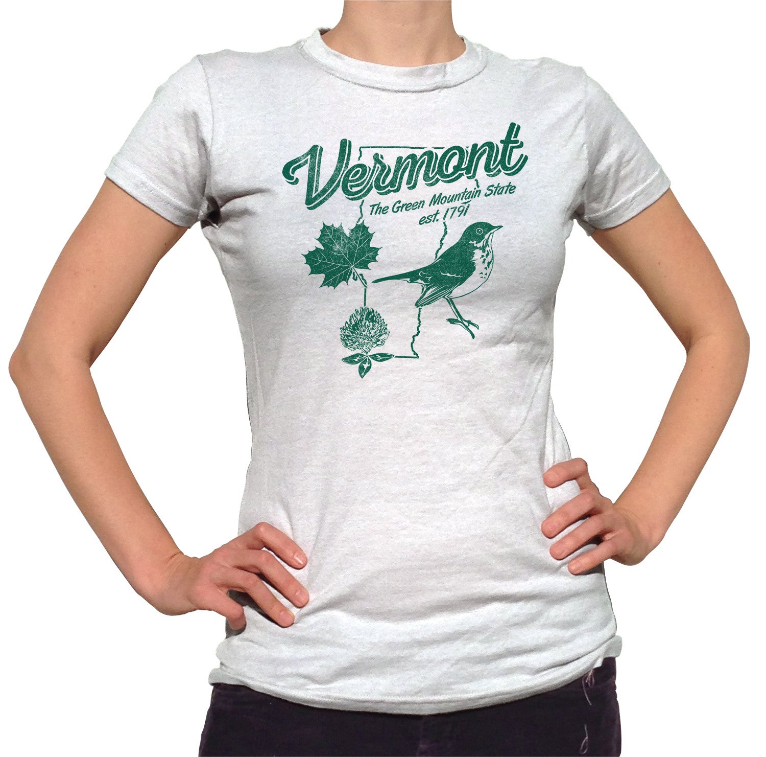 Women's Vintage Vermont T-Shirt