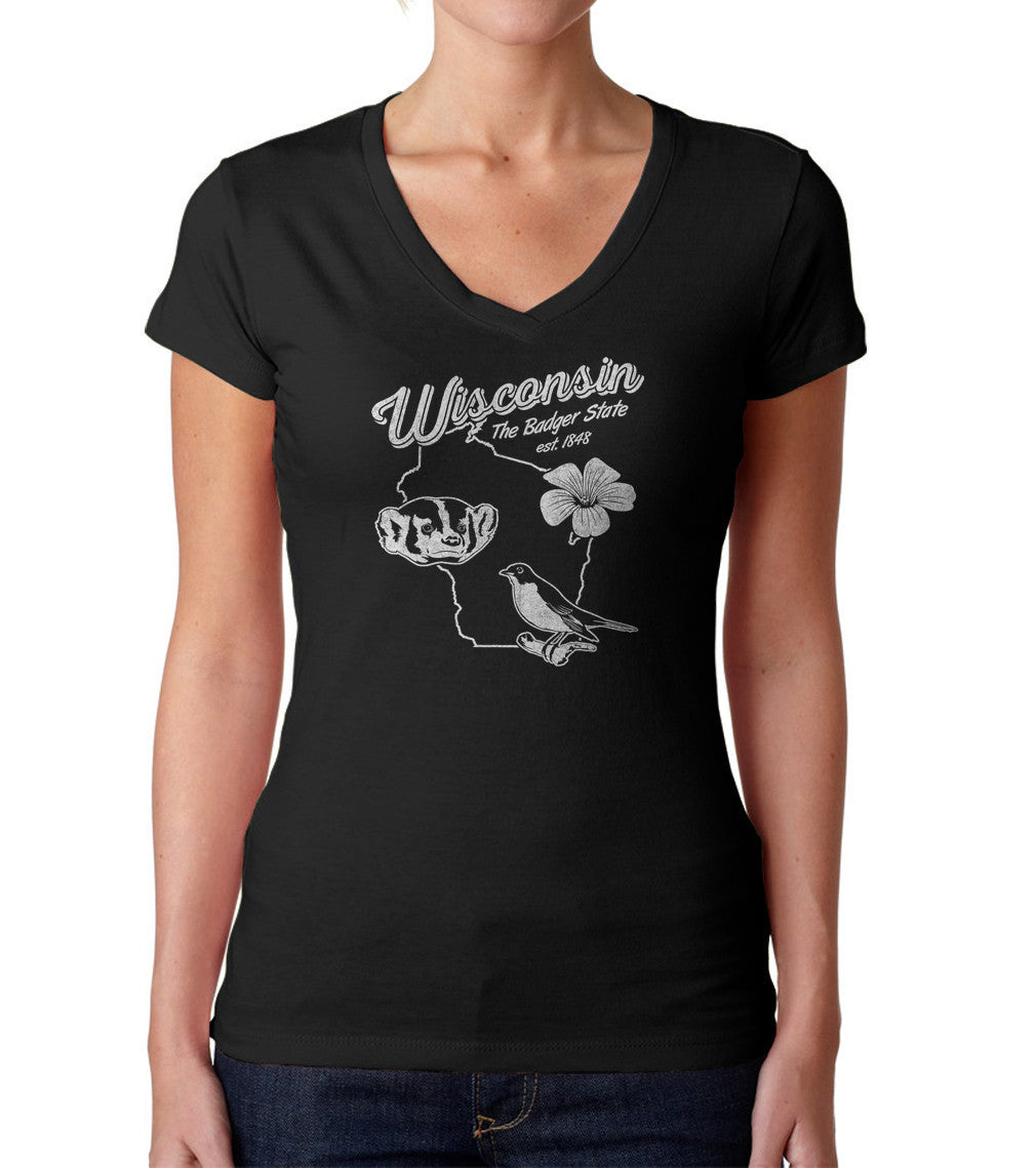 Women's Vintage Wisconsin State Vneck T-Shirt